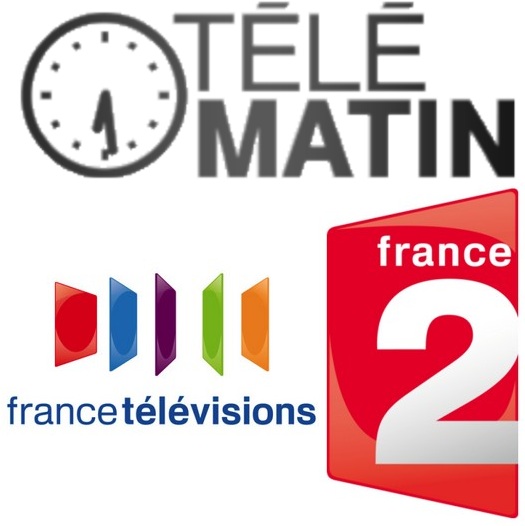 Logo Telematin France 2